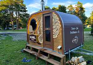 Karl Saun galerii pilt 11