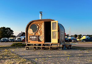 Karl Saun galerii pilt 15