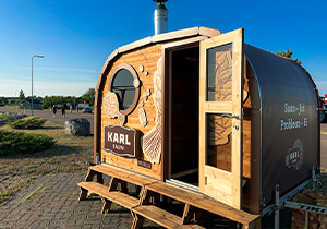 Karl Saun galerii pilt 3