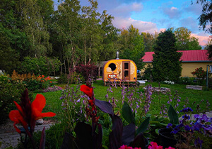 Karl Saun galerii pilt 5